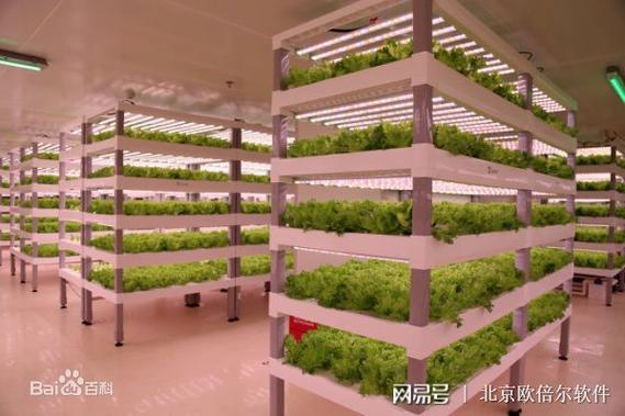 北京欧倍尔3d设施农业生产系统(植物工厂)虚拟仿真实验软件